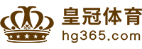 Logo 凯发国际k8娱乐